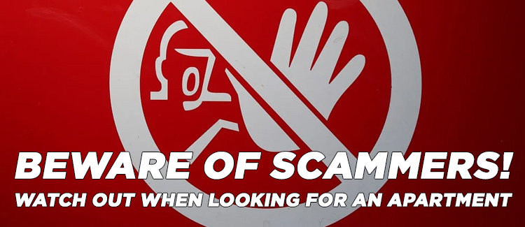 Beware, trap! How to expose apartment-hunting scammers